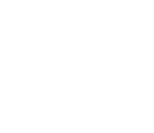 gabriele-savarese-icon